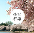 東京湾・横浜クルージング|季節行事