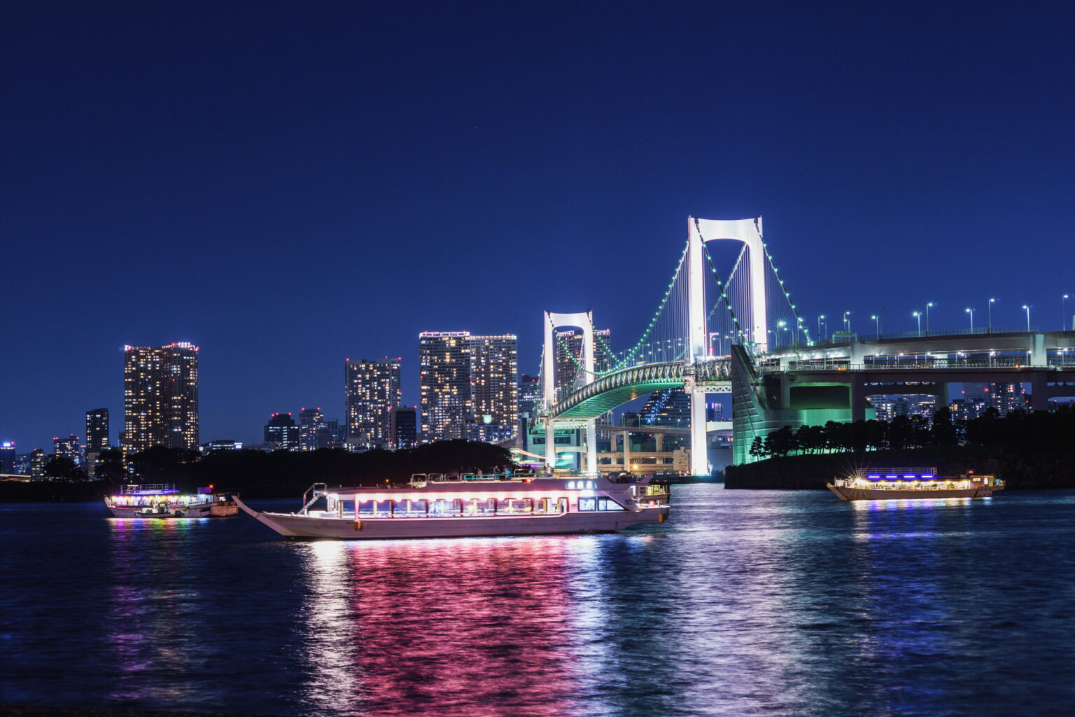 お台場のナイトクルージング風景