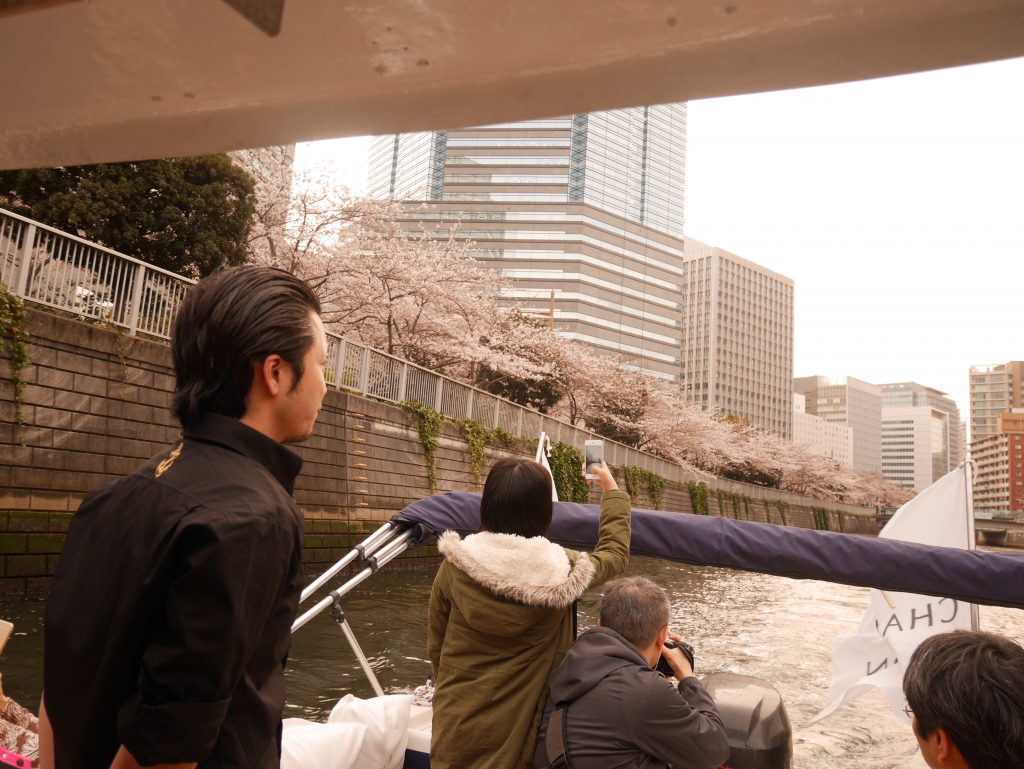 お花見クルージングをする人々