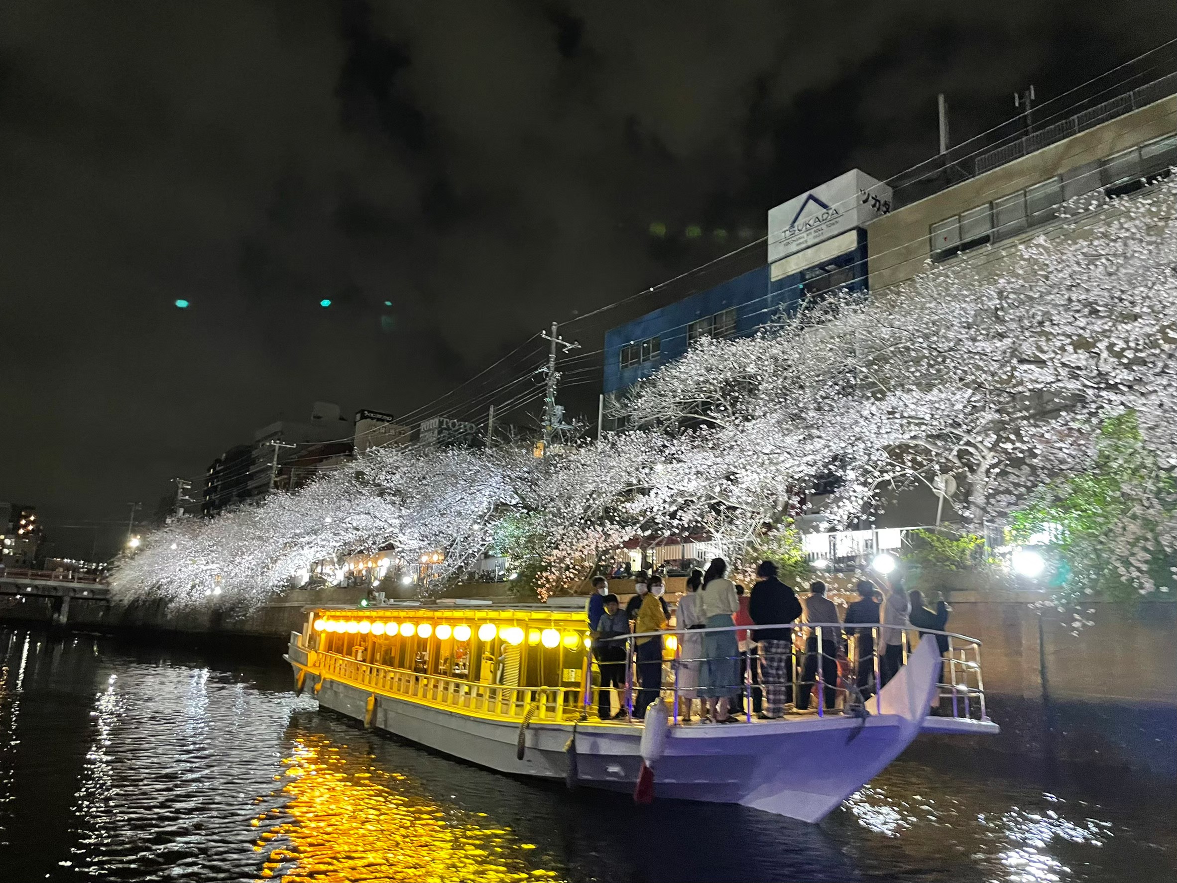 船でお花見