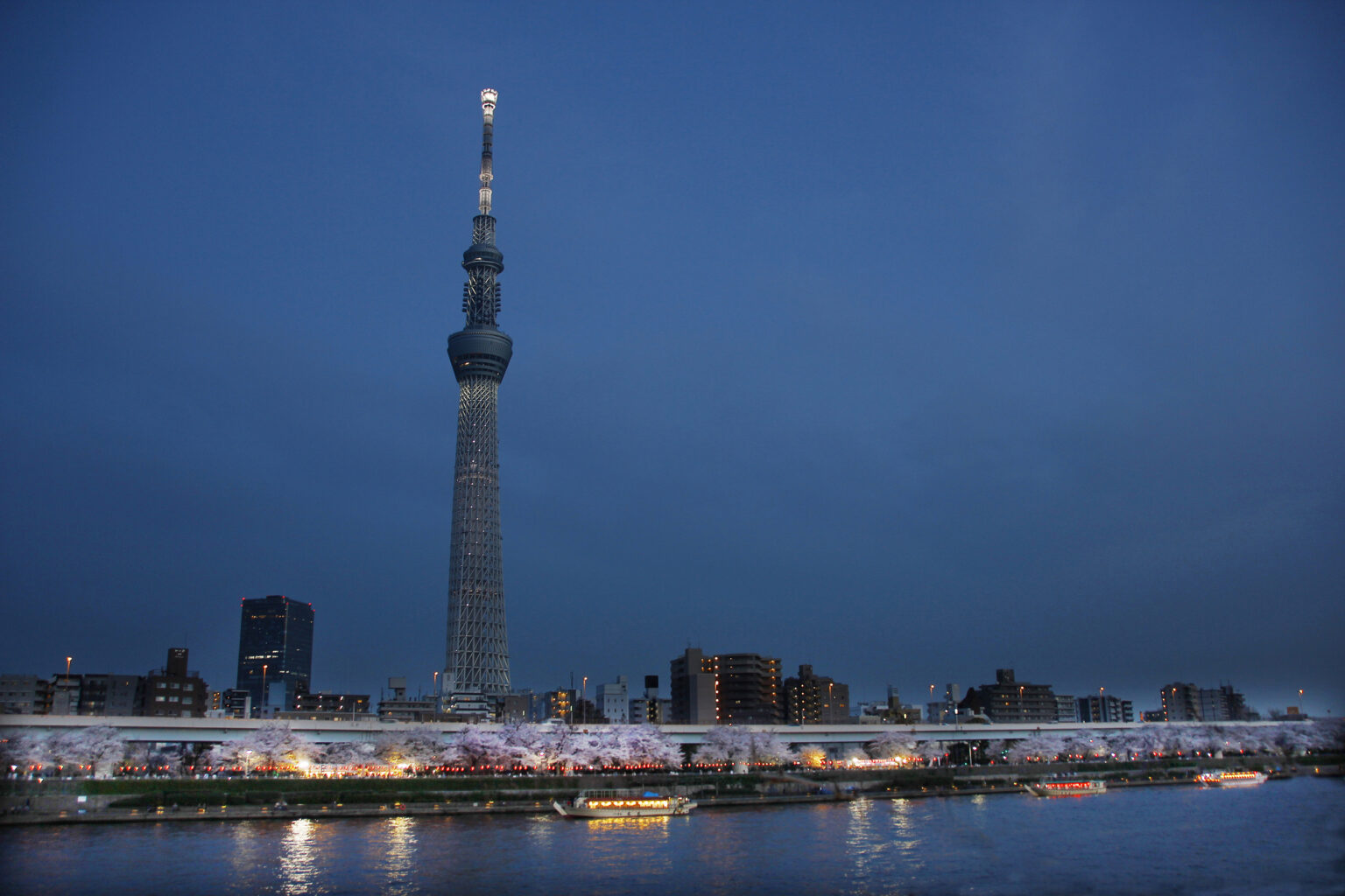 夜の東京スカイツリー