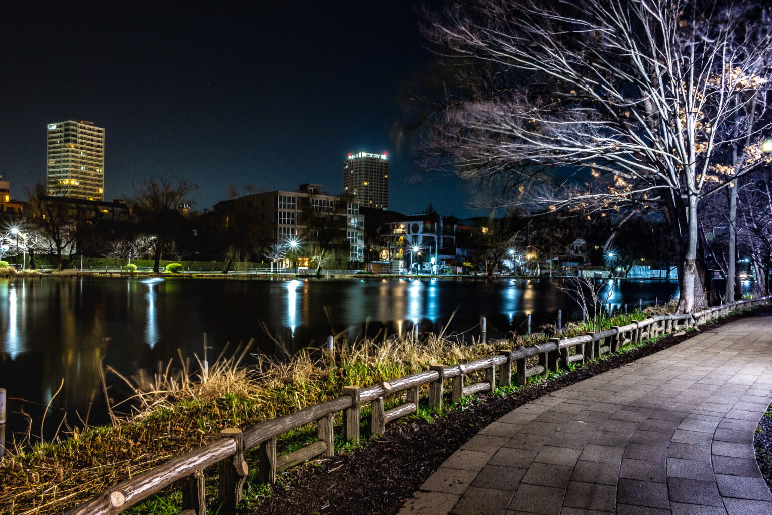 東京の夜景