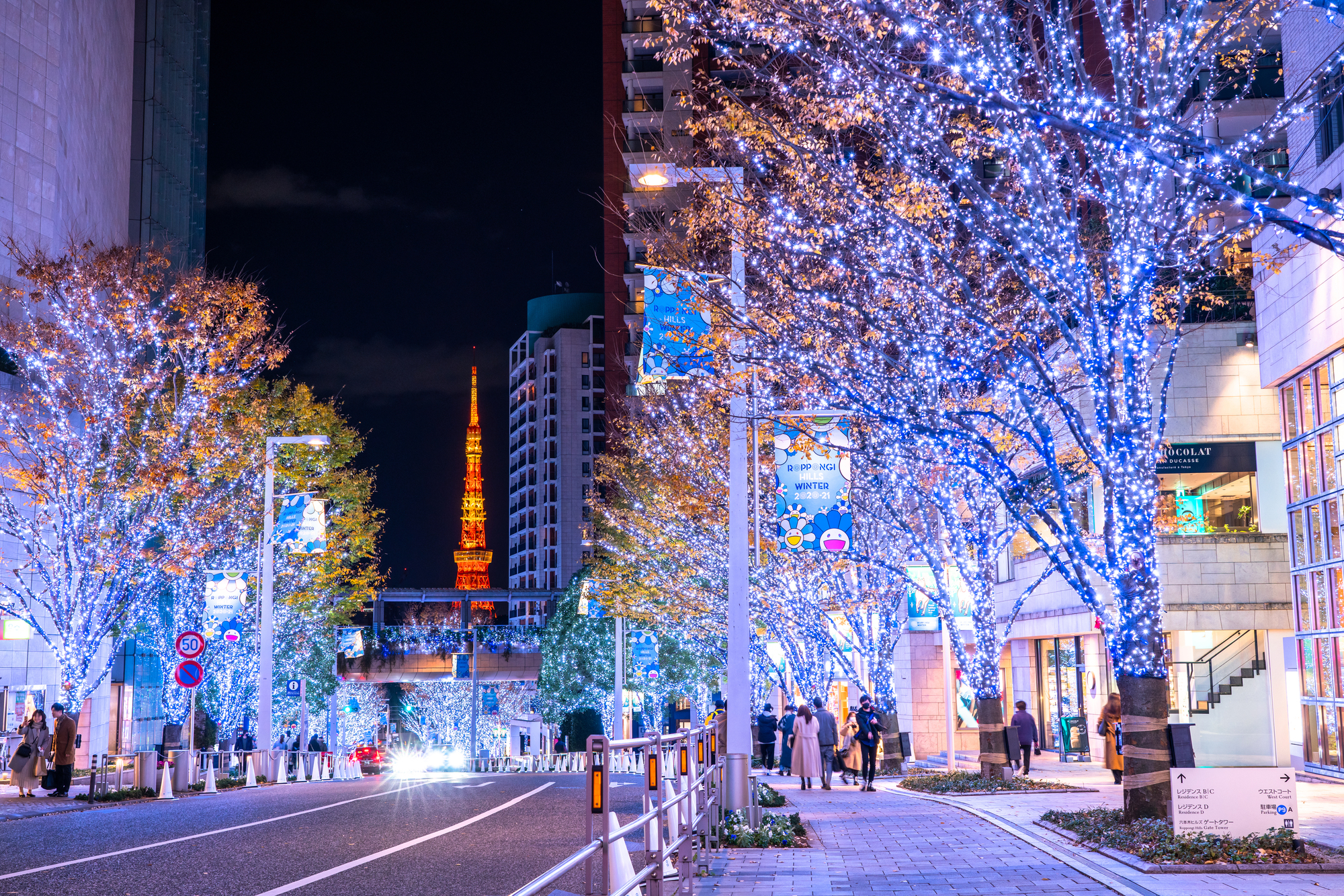 東京タワーとイルミネーションで飾られた街