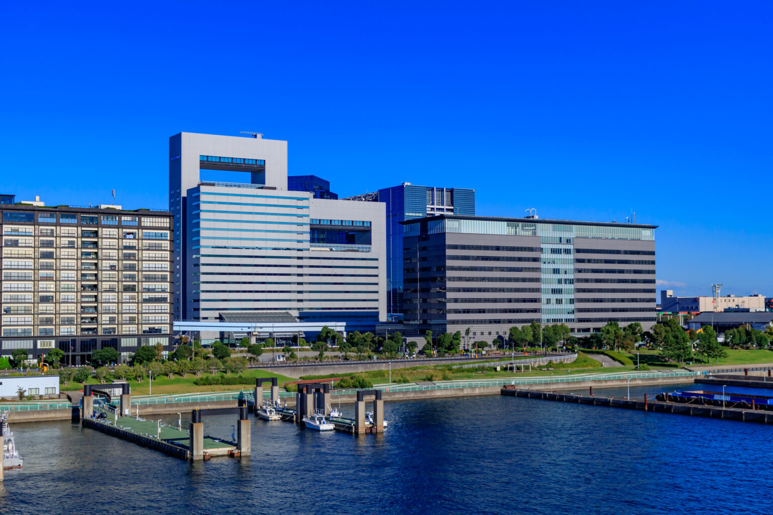 東京国際クルーズターミナルからお台場の街並み