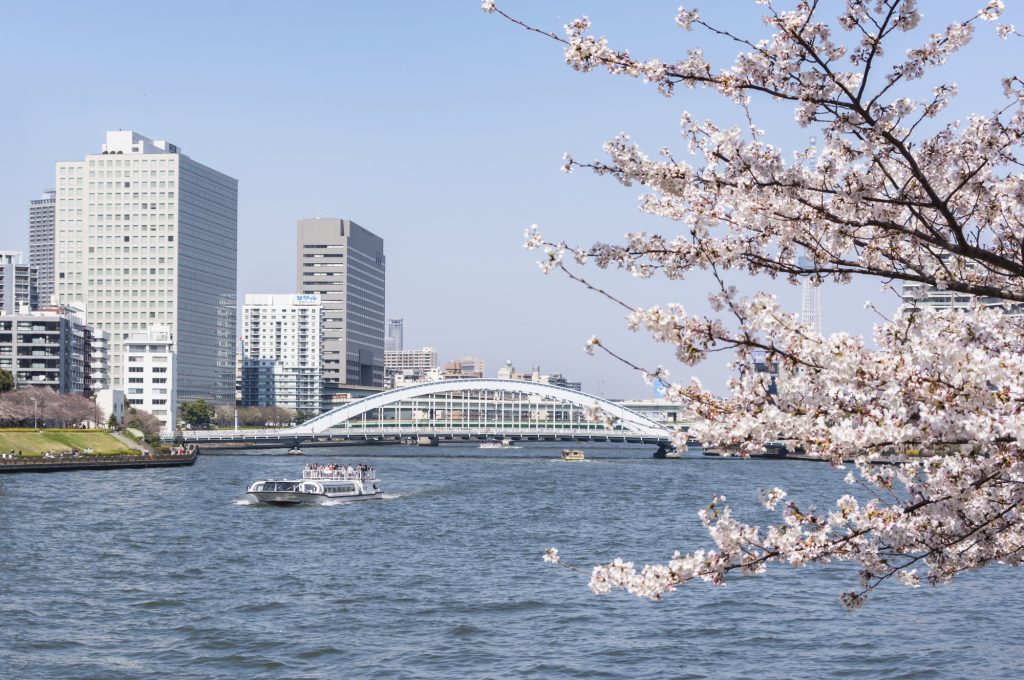 隅田川の桜と船